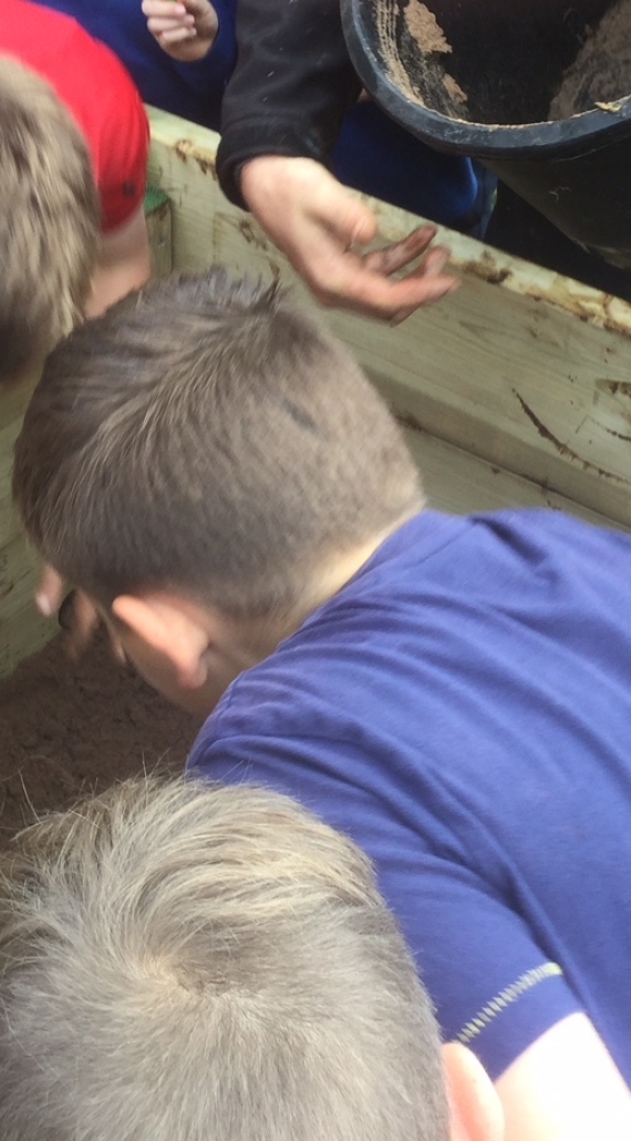 South Lough Neagh Native Apple Tree Project