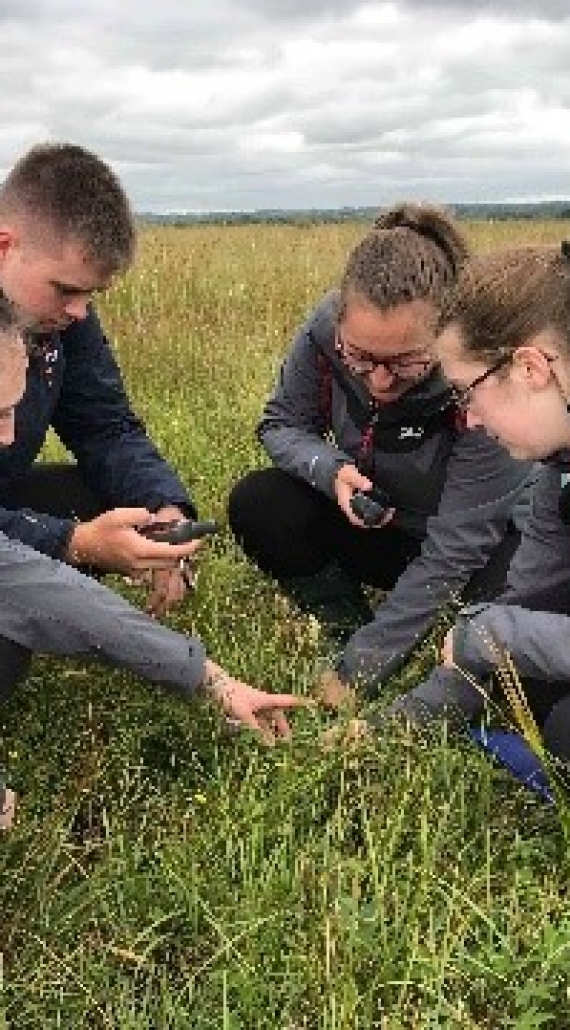 Adventures of a Busy Bee