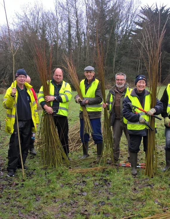 A New Year Willow Workout
