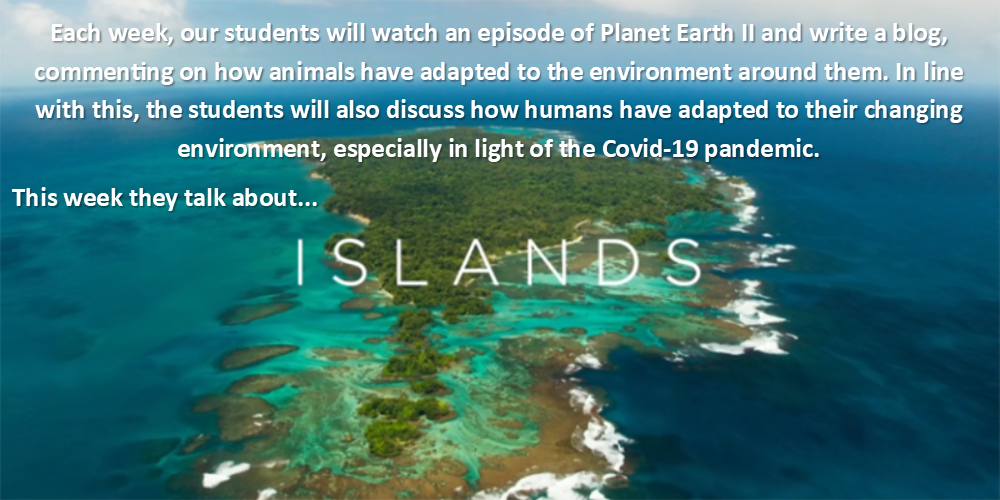 Planet Earth 2 – Islands – Aine Mallon