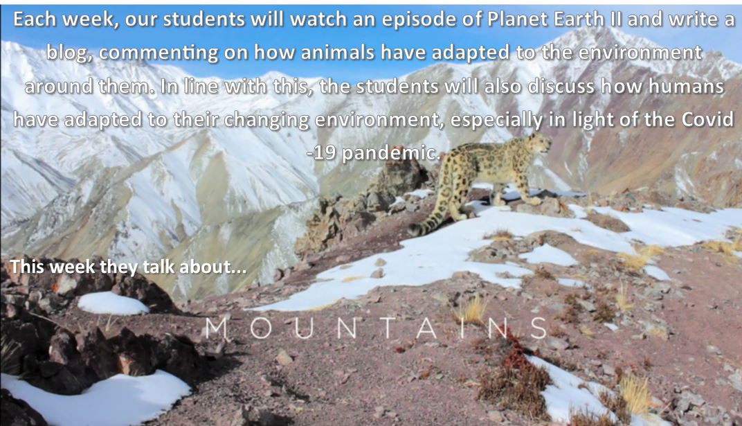 Planet Earth 2 – Episode 2 (Mountains) – Michael McCoy