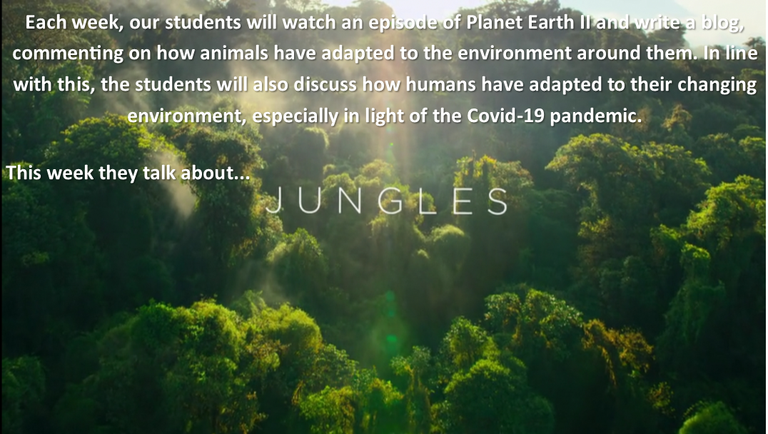 Planet Earth 2 – Jungles – Aoibhe McCarron 
