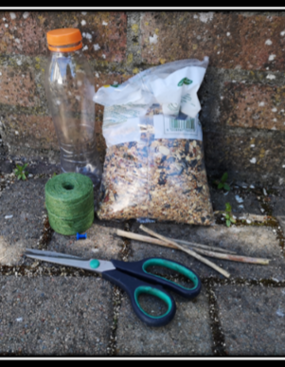 Improving Your Garden for Wildlife – Making Bird Feeders